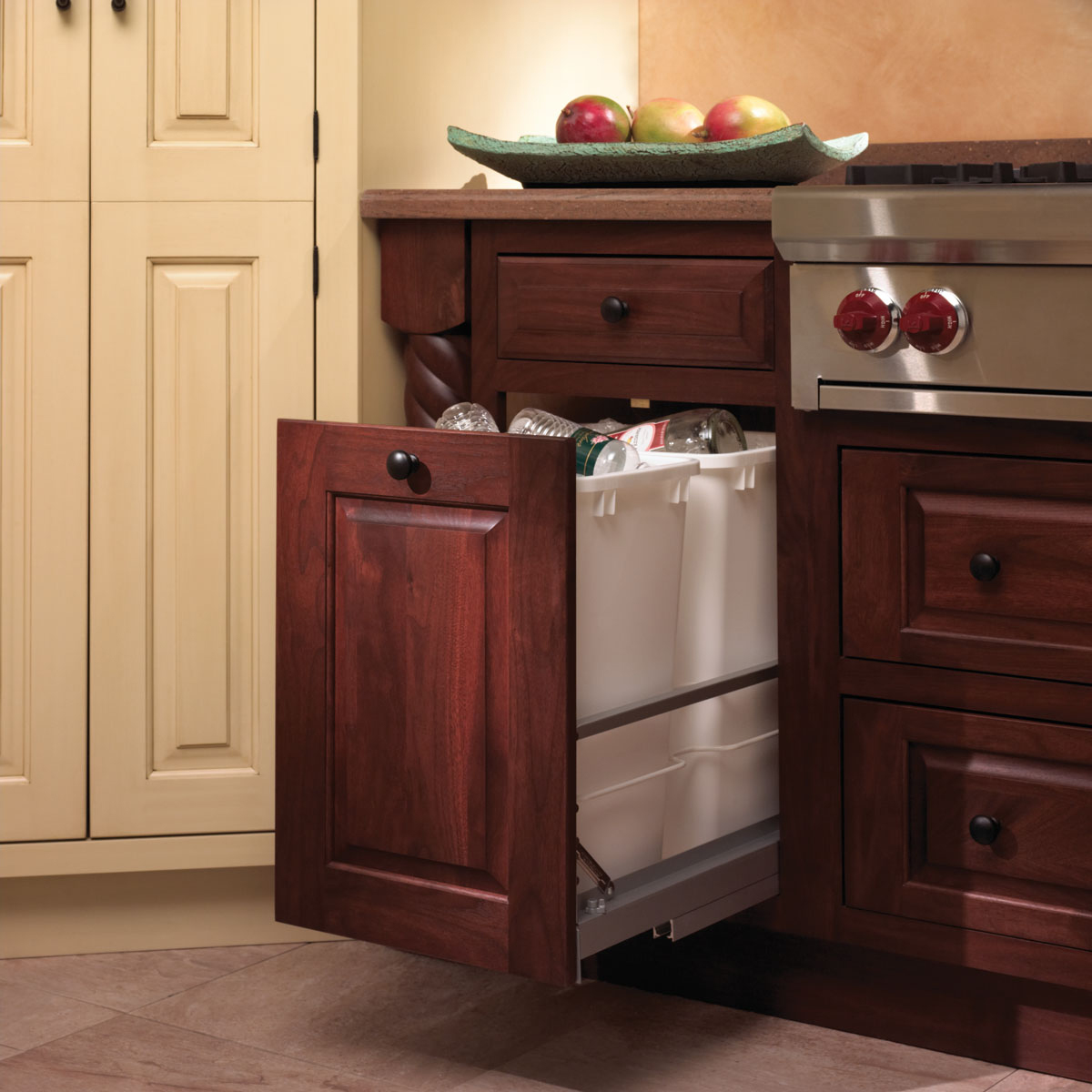 Waste bin inside cabinet